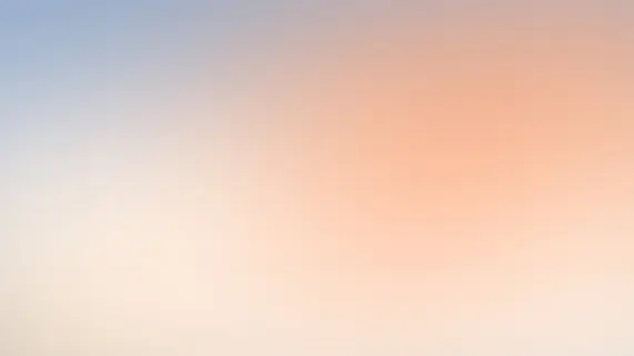 Betitall Casino Stuðningur